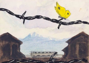 Quella farfalla gialla sul filo spinato