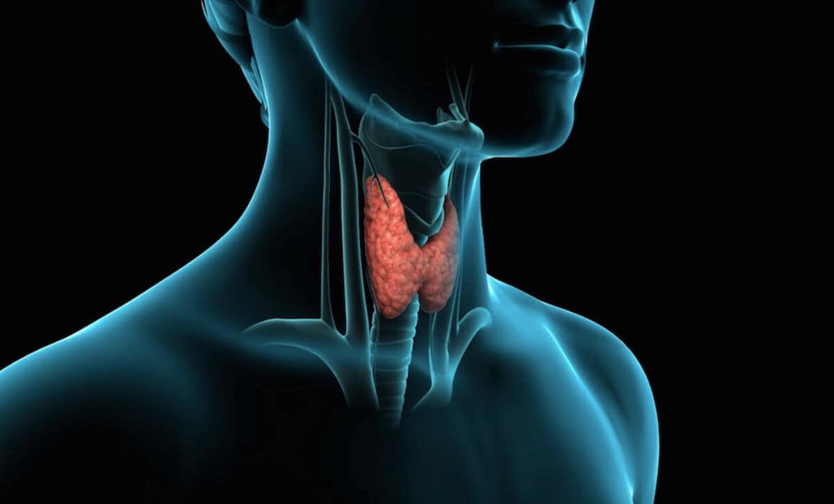 Tiroide: cosa fare per il bonus