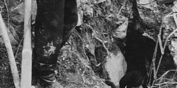 Lascerai ogni cosa che hai amato