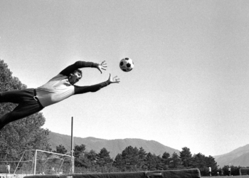 Le mani parlanti di Dino