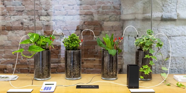 12 artisti e questo mondo incerto