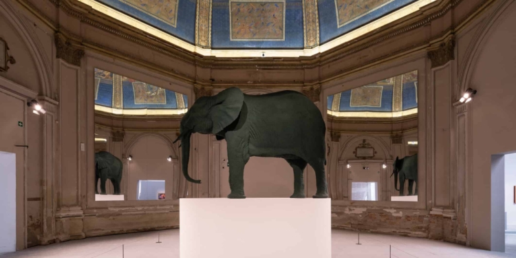 Il latte dei sogni e l’elefantessa verde