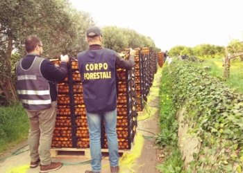 Sofisticazioni alimentari: Confapi e CC uniti