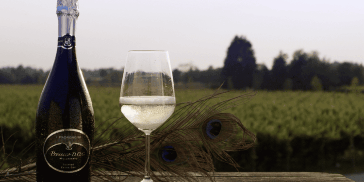 I Padroncini: 60 anni con il vino nel mondo