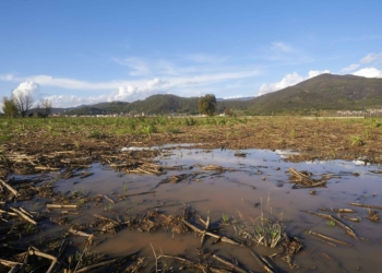 Non può non piovere per sempre