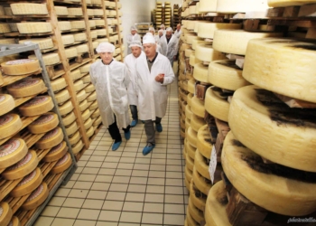 Mocellin alla guida di Latterie Vicentine