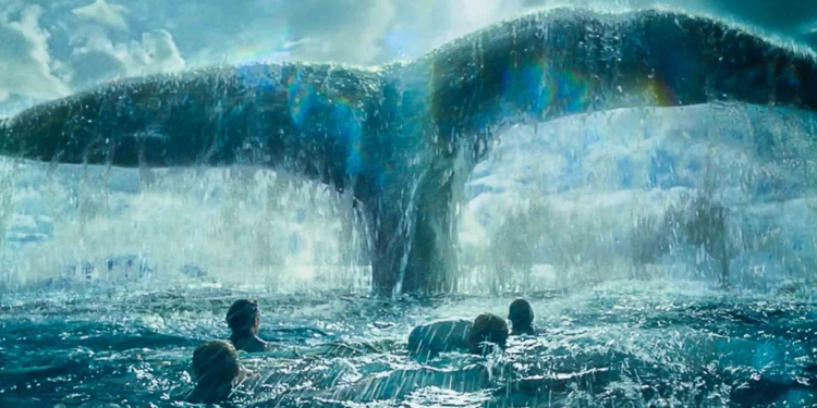 Cucire col vento può salvare una vita