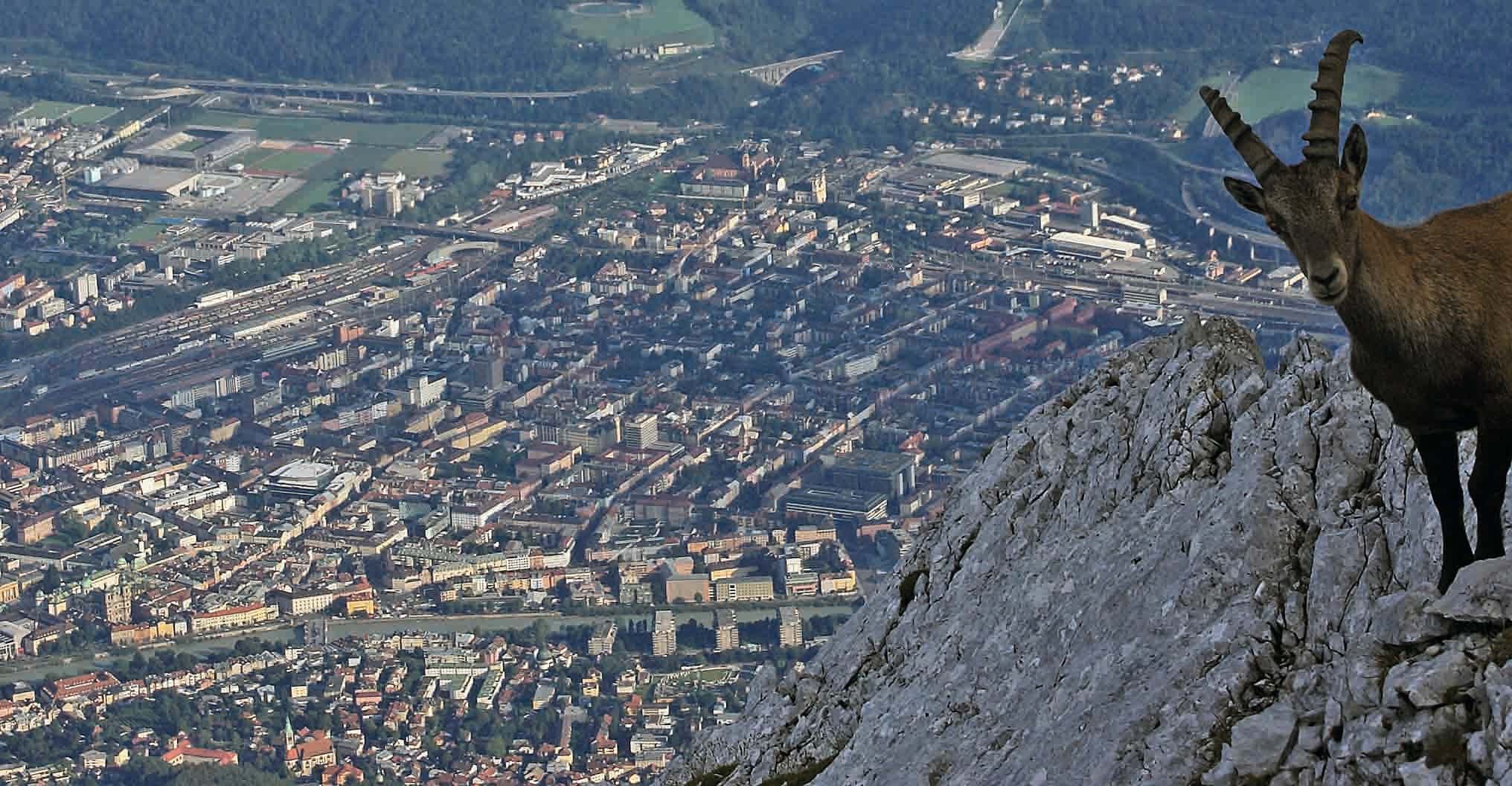 Innsbruck tra arte, storia, boschi e montagne