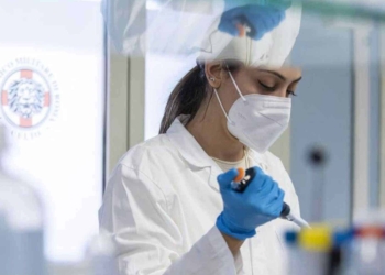 Il virus ha ripreso a circolare: cosa succede