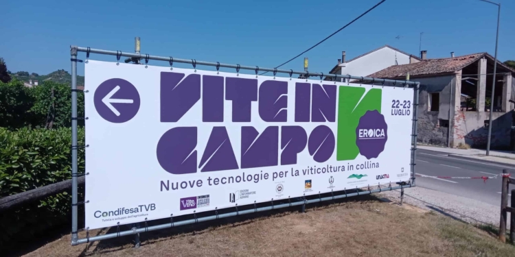 Sarà un grande vino ma resta l’incubo siccità