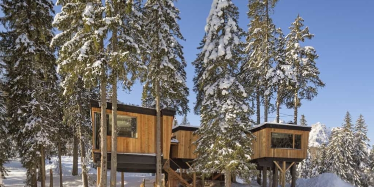 La casa sull’albero