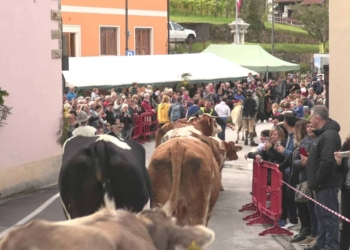 Chies, la montagna che resiste