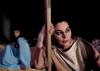 Una giornata particolare e una sporca dozzina