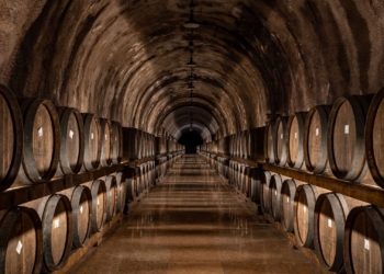 Gruppo Vi.V.O. Cantine. Un anno col botto