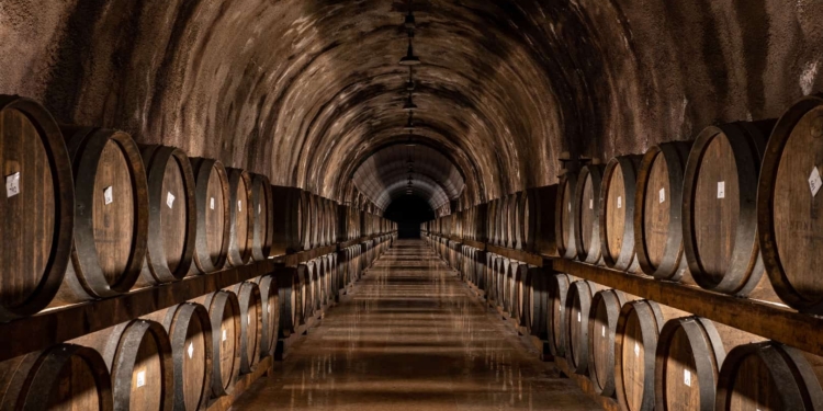 Gruppo Vi.V.O. Cantine. Un anno col botto