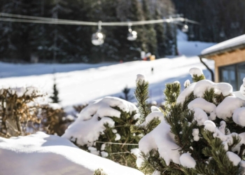 Relax sulle Dolomiti: ciaspole,  slitta, sci, vin brulè