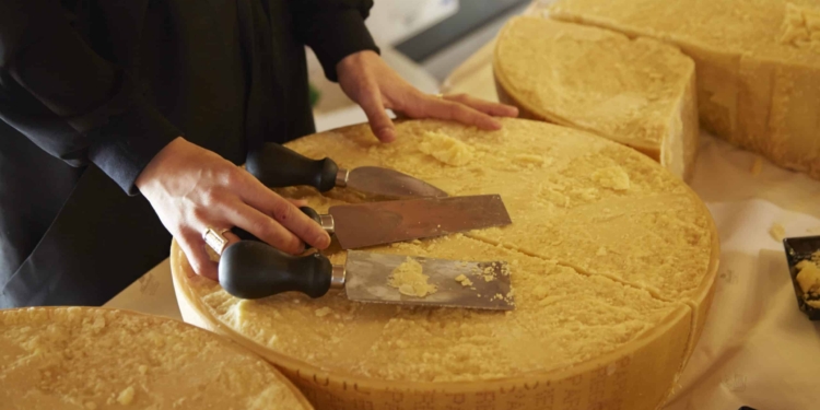 Formaggi da tutta Italia: la grande festa a Cittadella