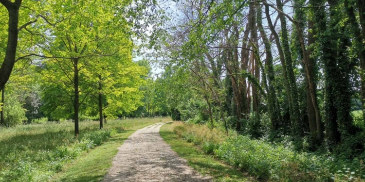 Il sentiero senza fine