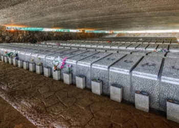 La Storia da studiare