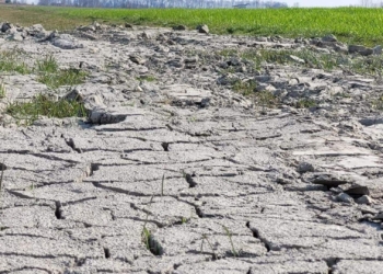 Il Veneto Orientale chiede tutela contro la siccità