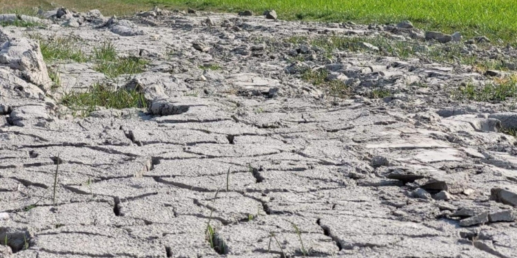 Il Veneto Orientale chiede tutela contro la siccità