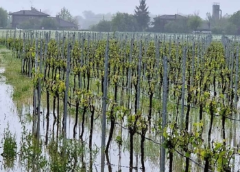 Finalmente la pioggia!