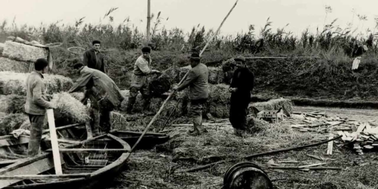 Per chi suona il silenzio
