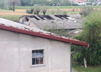 Devastato il Veneto Orientale, l’agricoltura conta i danni.