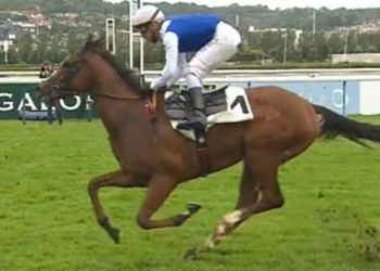 Adesso parliamo di cavalli. Andrea Orlandi ricorda