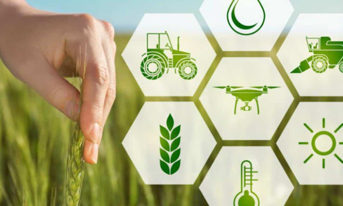 Il bivio dell’agroalimentare