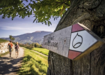 L’autunno in Vitalpina tra pecore e castagne