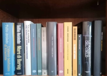 Gli sbirri di Avoledo diversi come cani nella pioggia