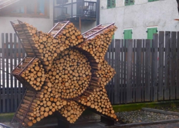 Una margherita sopra una catasta di legno