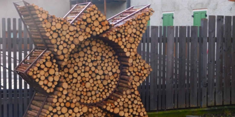 Una margherita sopra una catasta di legno