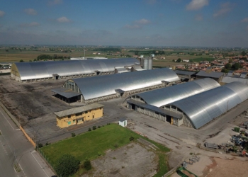 Maiscoltori: mille aziende insieme per crescere ancora