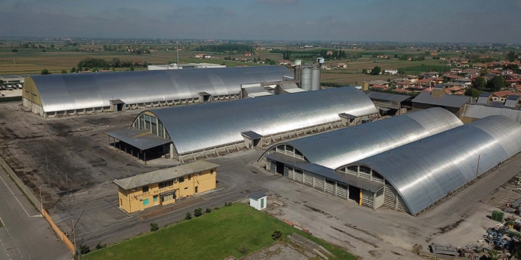 Maiscoltori: mille aziende insieme per crescere ancora