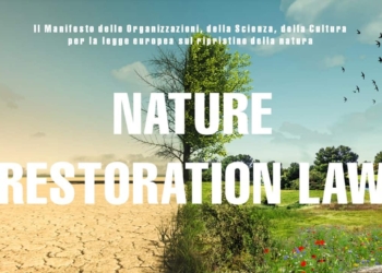 Ripristino degli ecosistemi: adesso in Europa è legge
