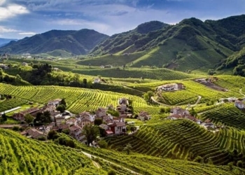 Un maresciallo e la morte tra le Colline del Prosecco
