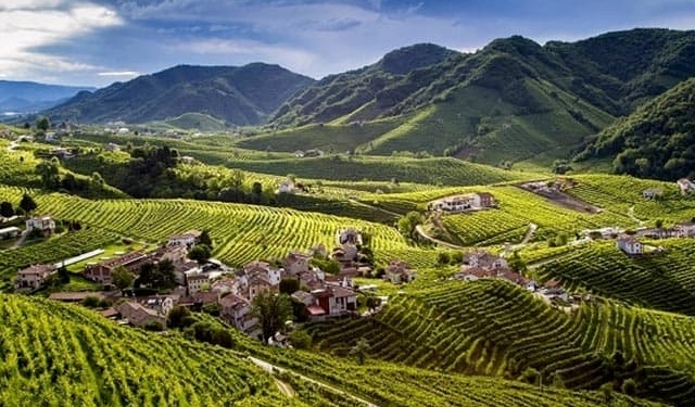 Un maresciallo e la morte tra le Colline del Prosecco