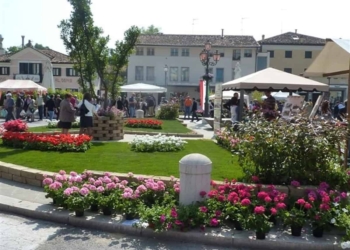 Per il 25 Aprile Mirano si ricopre di fiori