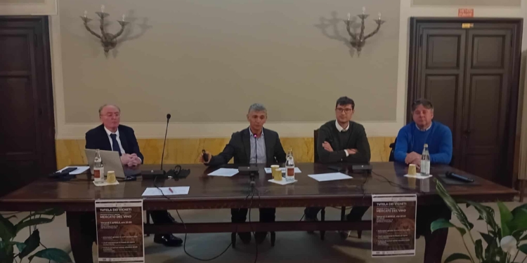 San Donà e Portogruaro: per le grandinate 6 milioni agli agricoltori