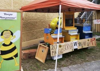 Ritorna a Chies d’Alpago il Mercatino Manzoniano