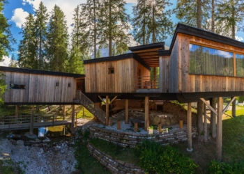 Vacanza nelle case sugli alberi