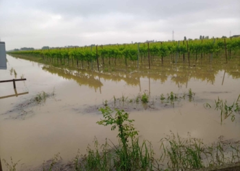 Bombe d’acqua, mais e soia a rischio