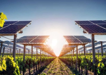 Agrivoltaico: le novità del Paese del Sole