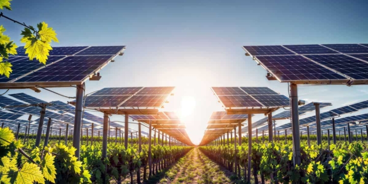 Agrivoltaico: le novità del Paese del Sole