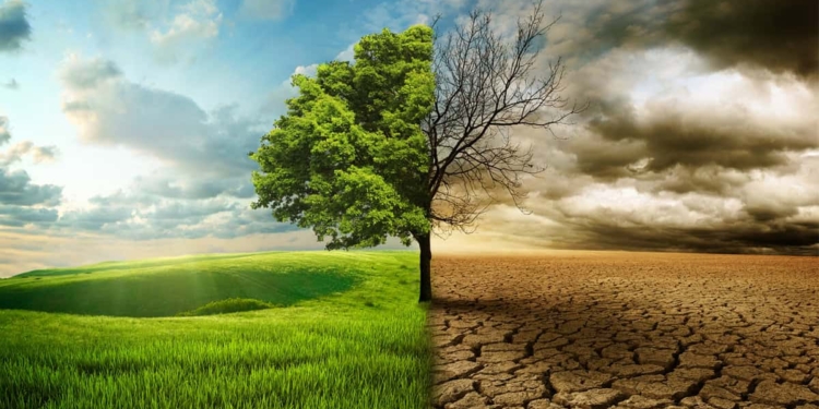 Se si guasta il Tempo