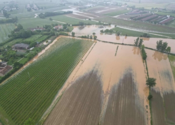 Danni ai vigneti per 4 milioni “Assicurarsi è fondamentale”