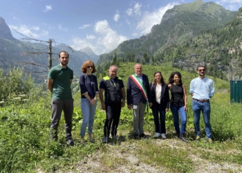 Il dopo Vaia ad Alleghe è un nuovo bosco