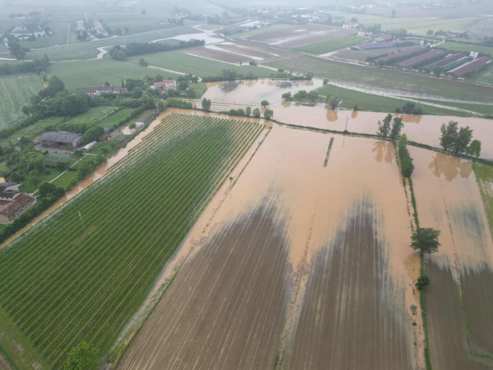 1,5 milioni di danni. Colpiti soprattutto i cereali